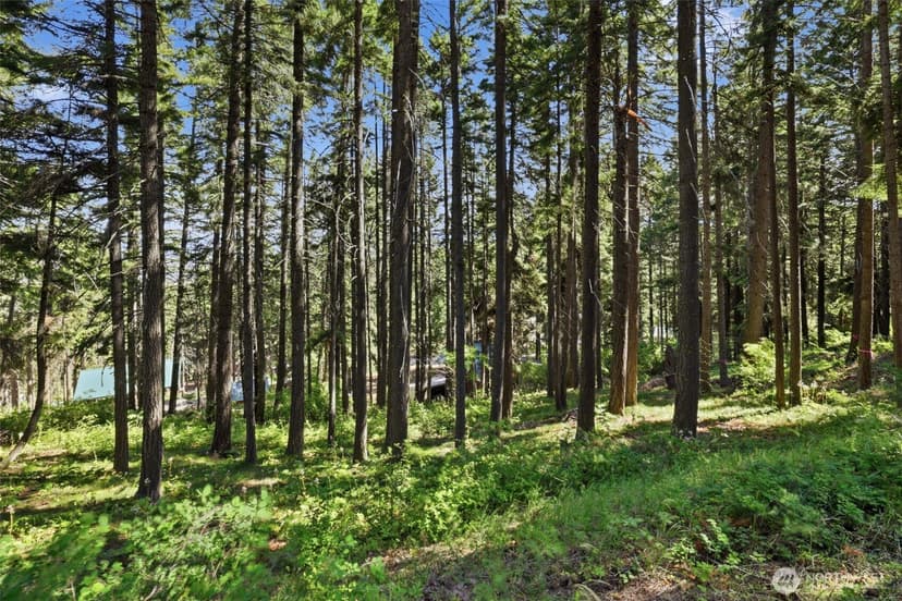 Property photo for 12 XX Skull Springs, Cle Elum photo 11