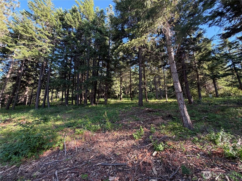 Property photo for 1330 Black Hawk Drive, Cle Elum photo 21