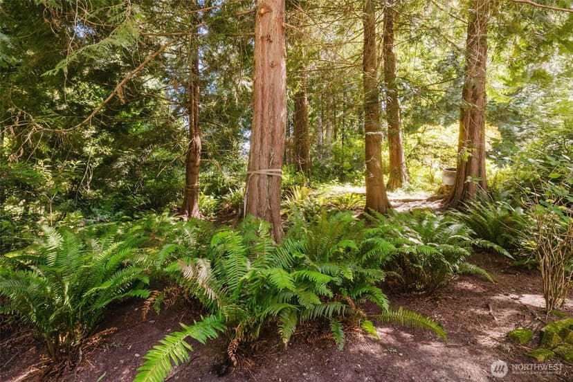 Property photo for 7215 NE Dolphin Drive, Bainbridge Island photo 26