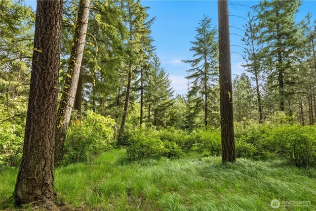 Property photo for 0 Westside Road, Cle Elum photo 3