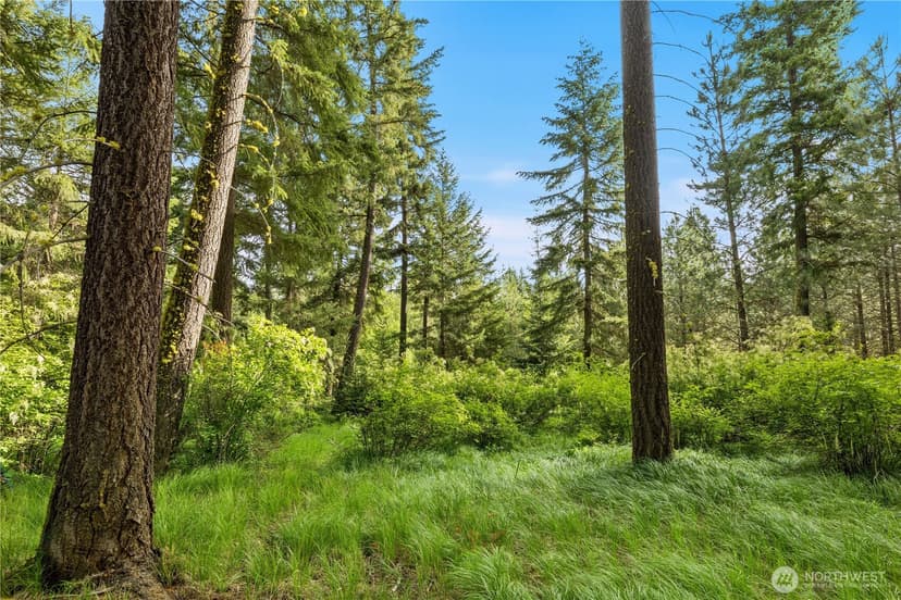 Property photo for 0 Westside Road, Cle Elum photo 3