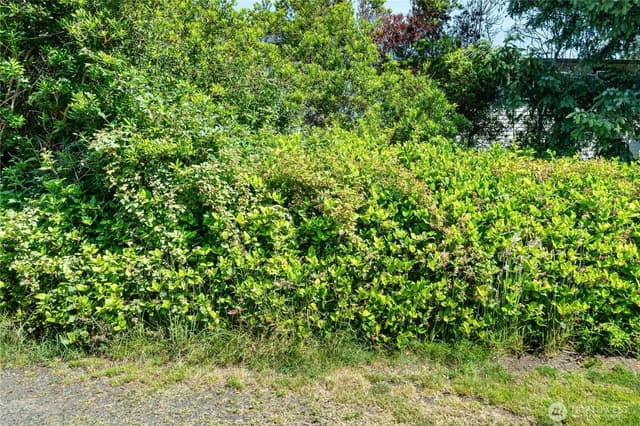 Property photo for 370 -360 Ocean Shores Boulevard SW, Ocean Shores photo 4