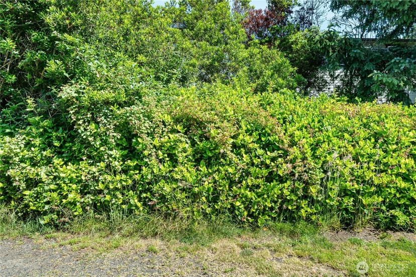 Property photo for 370 -360 Ocean Shores Boulevard SW, Ocean Shores photo 4