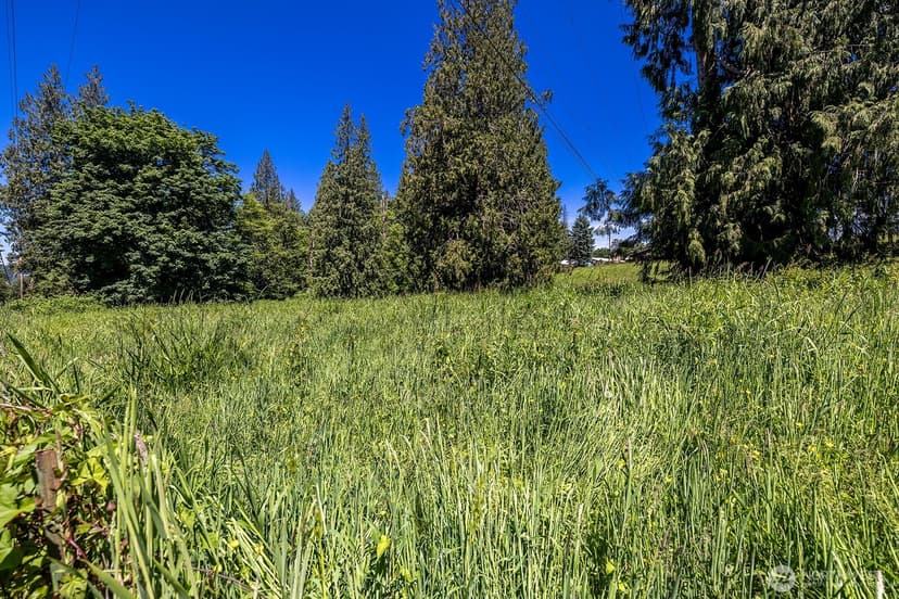 Property photo for 18901 Welch Road, Snohomish photo 11