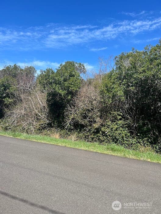 Property photo for 314 S Seashore Street SW, Ocean Shores