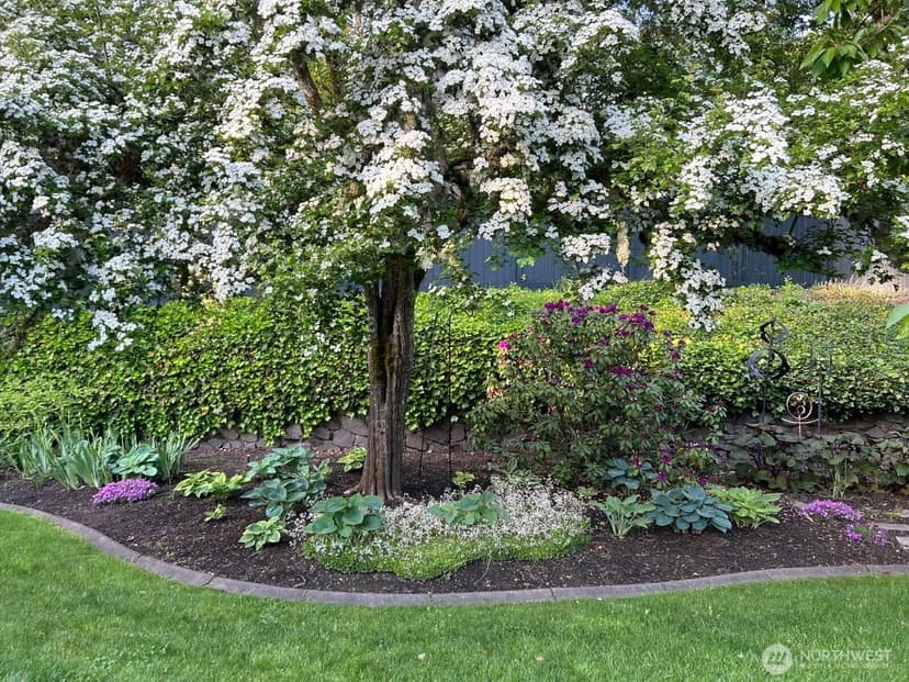Property photo for 10415 Brook Lane SW, Lakewood photo 38