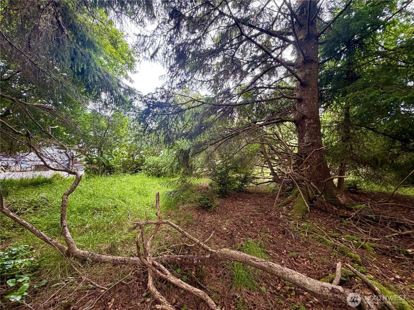 Property photo for 772 Island Circle SE, Ocean Shores photo 5