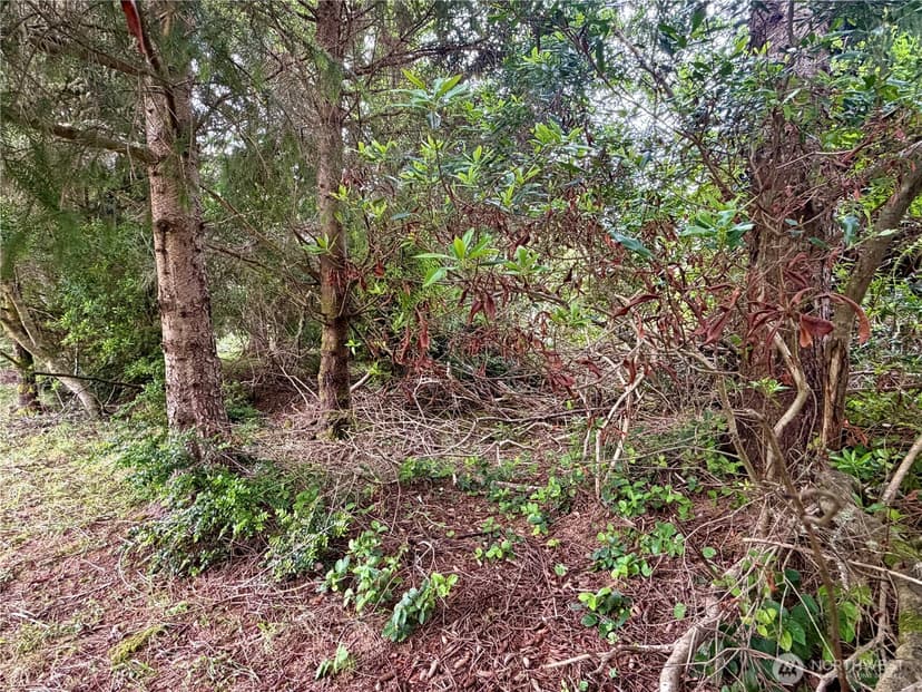 Property photo for 772 Island Circle SE, Ocean Shores photo 6