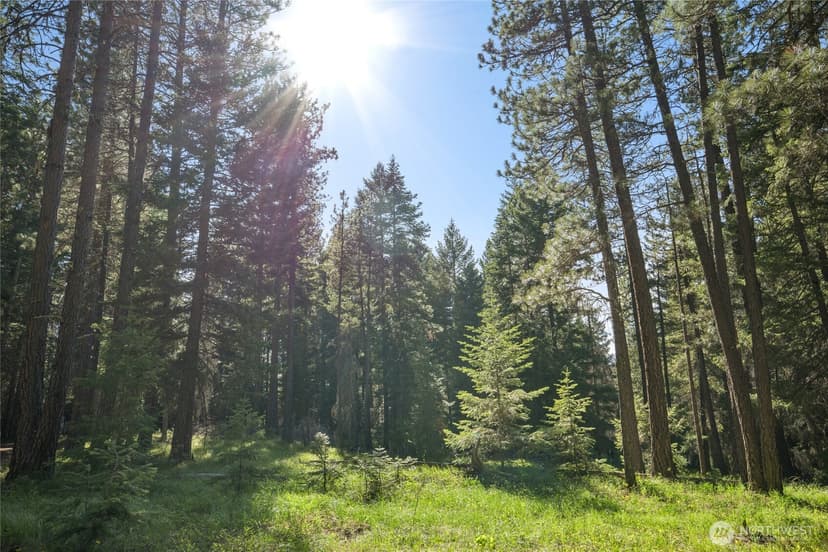 Property photo for 540 Hub Lane, Cle Elum photo 32