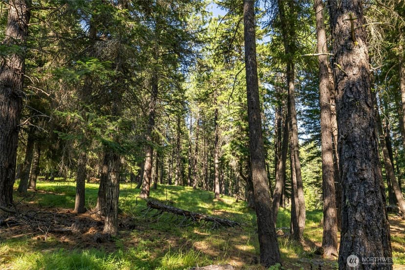 Property photo for 540 Hub Lane, Cle Elum photo 30