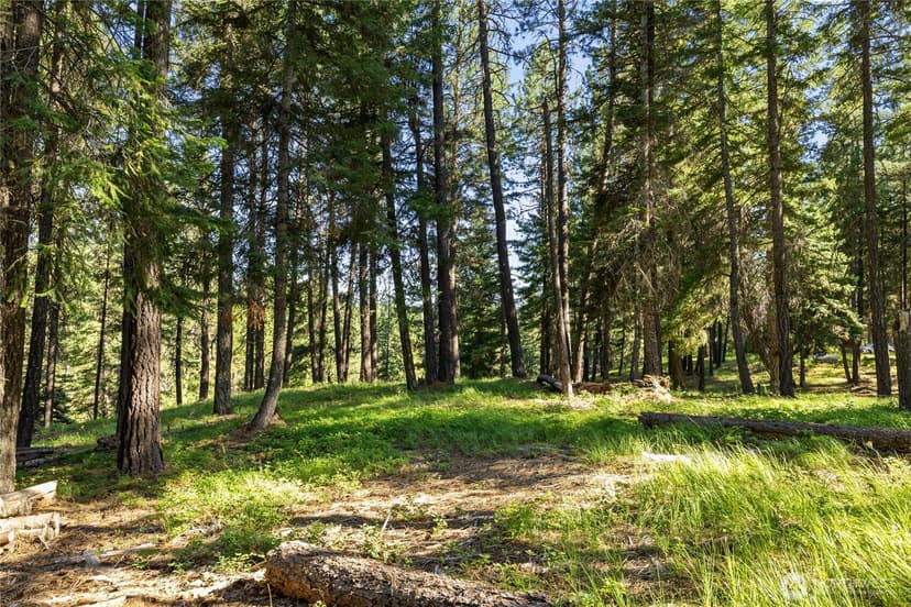 Property photo for 540 Hub Lane, Cle Elum photo 35