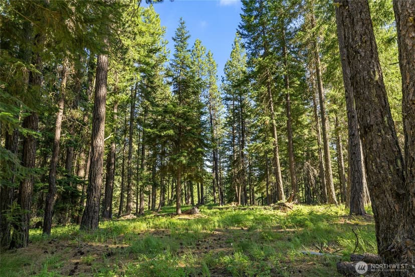 Property photo for 540 Hub Lane, Cle Elum photo 34