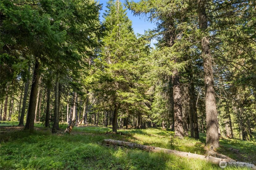Property photo for 540 Hub Lane, Cle Elum photo 29