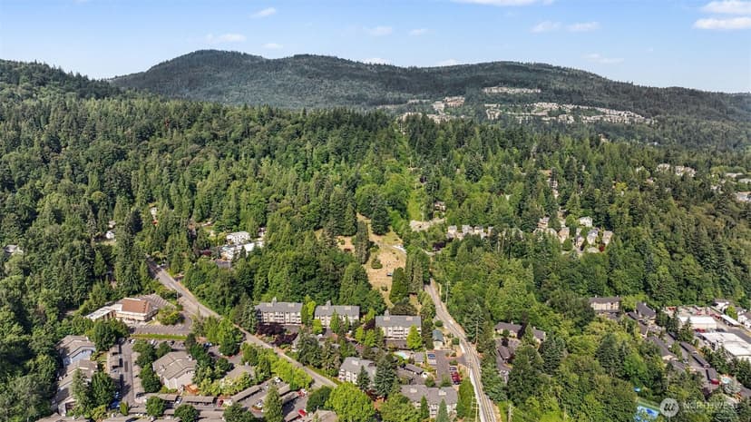 Property photo for 202 Mountain Park Boulevard #B303, Issaquah photo 29