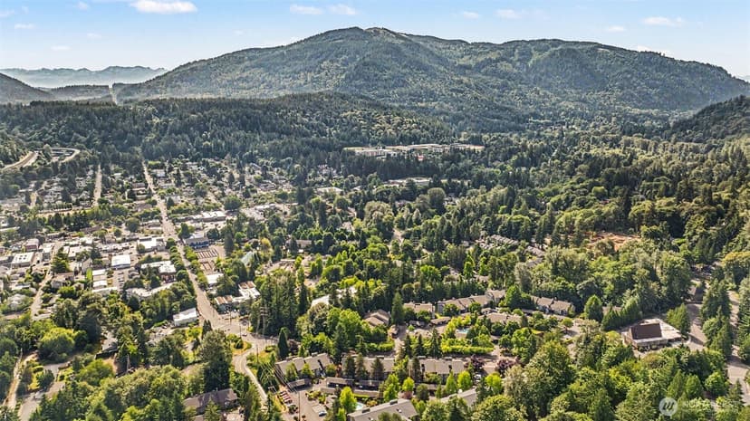 Property photo for 202 Mountain Park Boulevard #B303, Issaquah photo 32