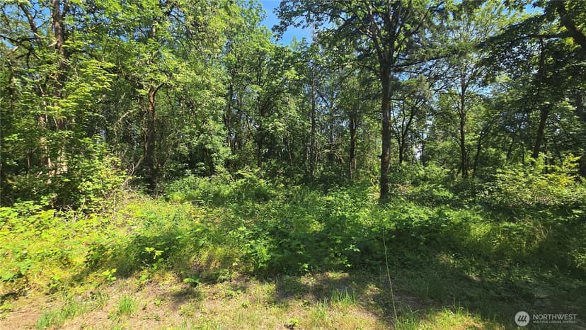 Property photo for 364 xx 48th Avenue S, Auburn photo 25