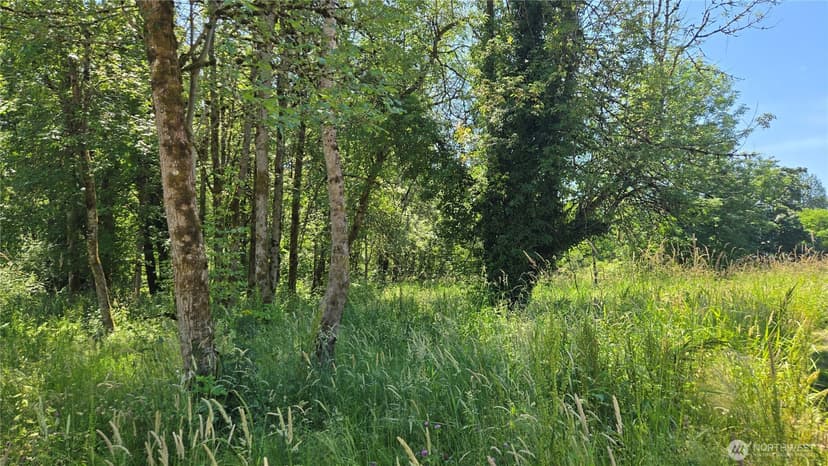 Property photo for 364 xx 48th Avenue S, Auburn photo 8