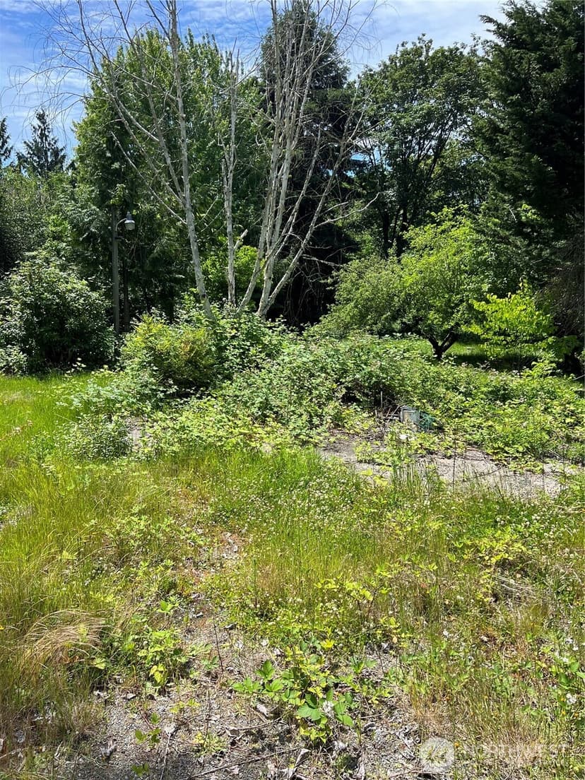 Property photo for 957 Aberdeen Avenue NE, Renton photo 10