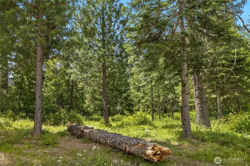 Property photo for 21 Old Grove Trail, Cle Elum photo 19