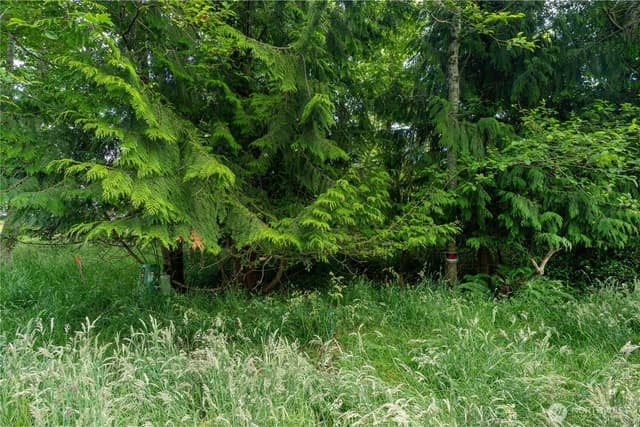 Property photo for 576 Chenois Avenue NE, Ocean Shores photo 3