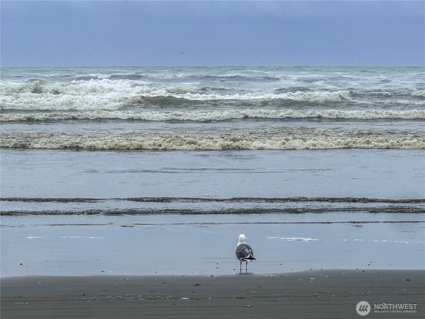 Property photo for 425 N Portal Loop SW, Ocean Shores photo 35