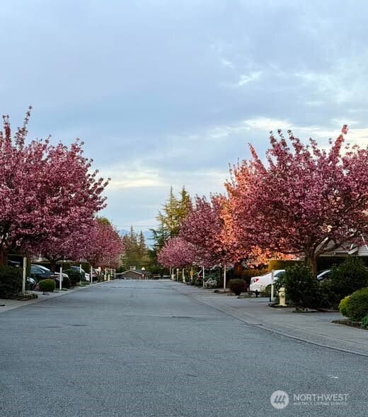 Property photo for 15414 35th Avenue W #54, Lynnwood photo 4