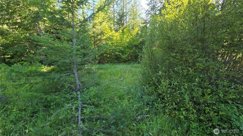 Property photo for 3 -Lots Westside Rd, Cle Elum photo 8