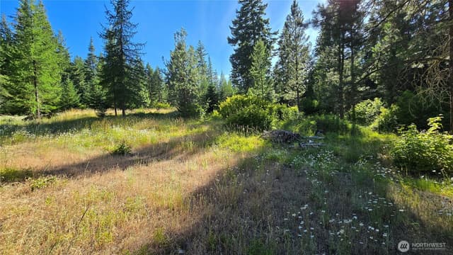 Property photo for 3 -Lots Westside Rd, Cle Elum photo 2
