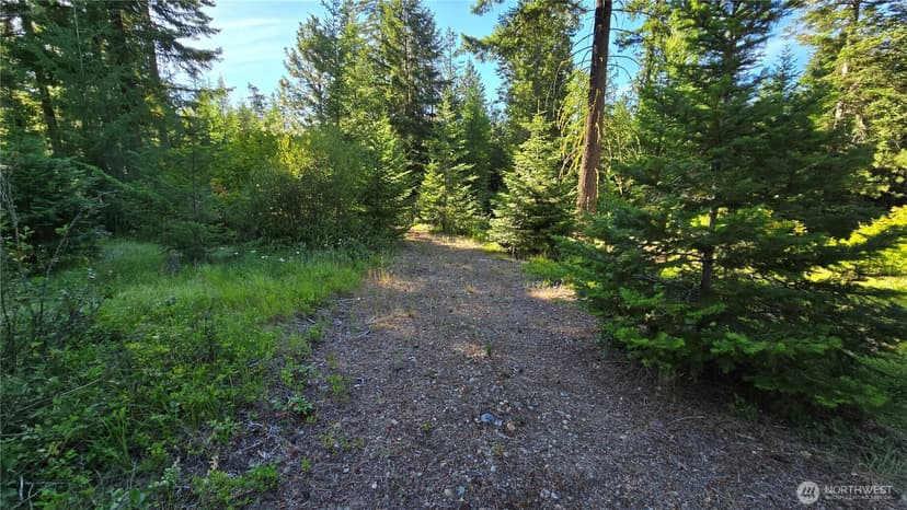 Property photo for 3 -Lots Westside Rd, Cle Elum photo 10