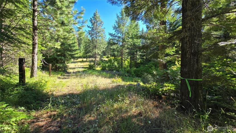 Property photo for 3 -Lots Westside Rd, Cle Elum photo 14