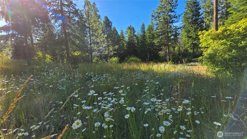 Property photo for 3 -Lots Westside Rd, Cle Elum photo 7