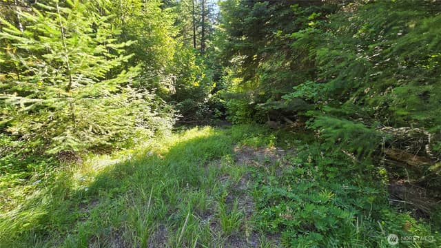 Property photo for 3 -Lots Westside Rd, Cle Elum photo 3