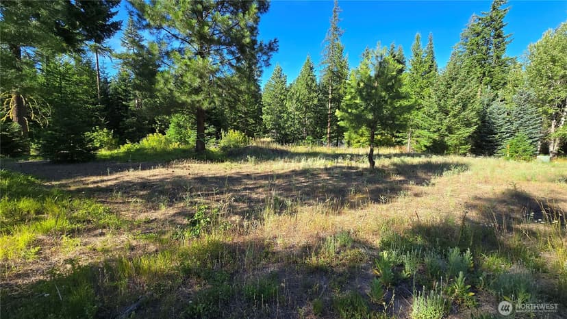 Property photo for 3 -Lots Westside Rd, Cle Elum