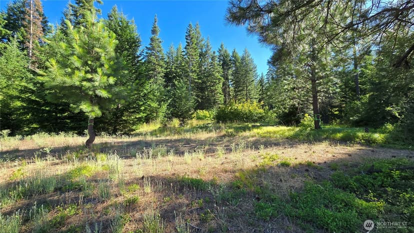 Property photo for 3 -Lots Westside Rd, Cle Elum photo 11