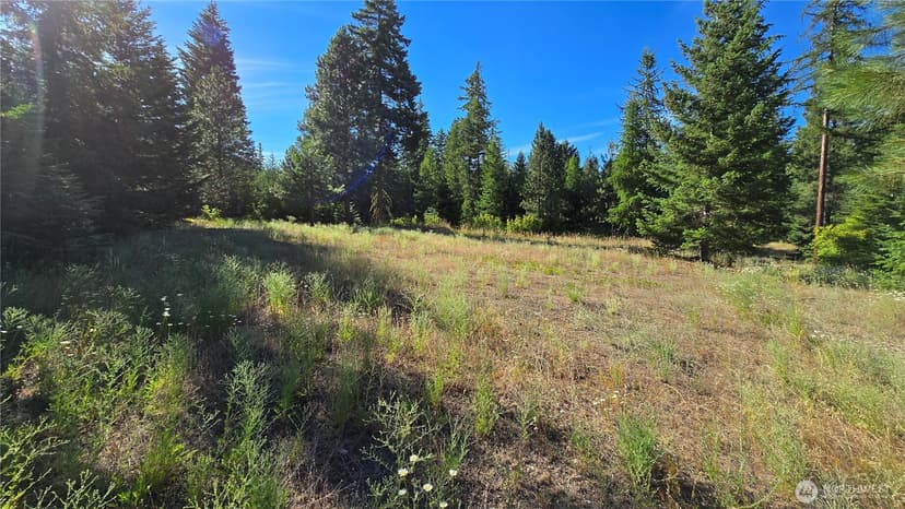 Property photo for 3 -Lots Westside Rd, Cle Elum photo 12