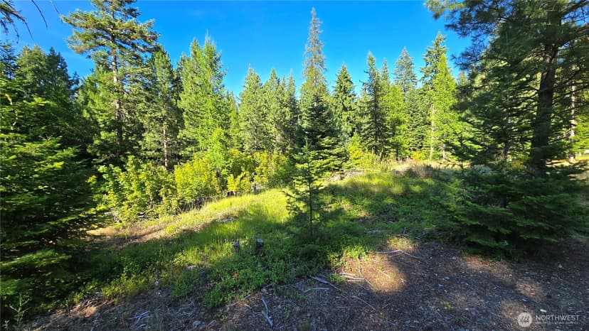 Property photo for 3 -Lots Westside Rd, Cle Elum photo 9