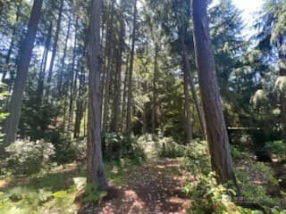 Property photo for 4430 Pine Avenue NE, Bremerton photo 40