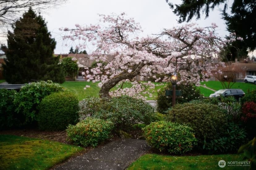 Property photo for 4915 Rucker Avenue, Everett photo 36
