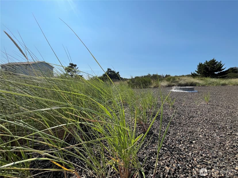 Property photo for 1439 Diamond Head Avenue SW, Ocean Shores photo 37