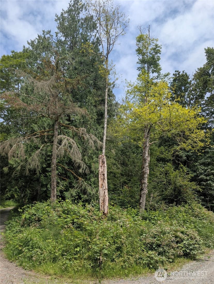 Property photo for 25314 Ebey Mountain Road, Arlington