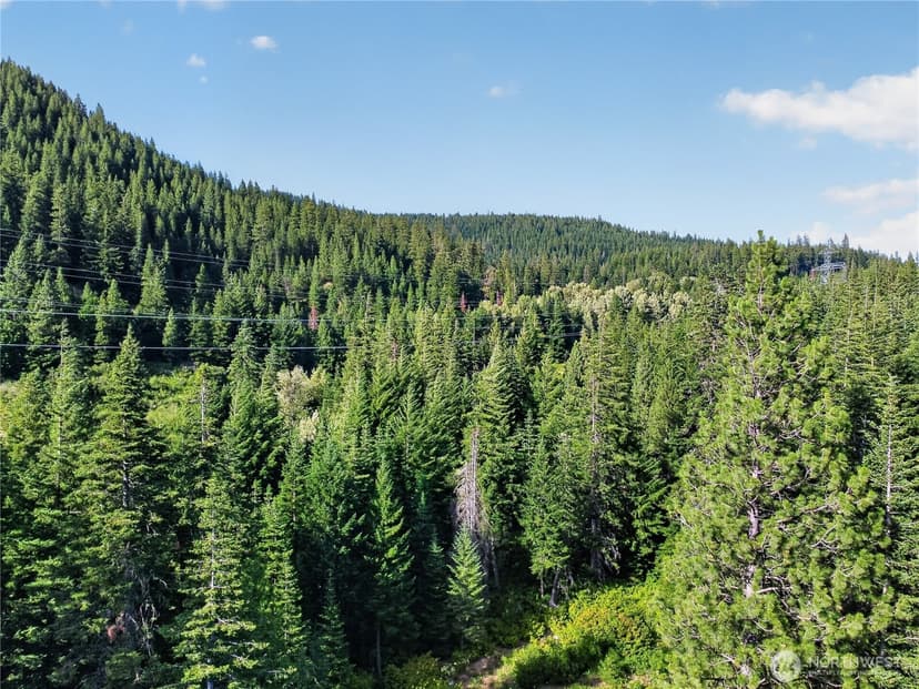 Property photo for 0 xxx W Nason Creek, Leavenworth photo 29