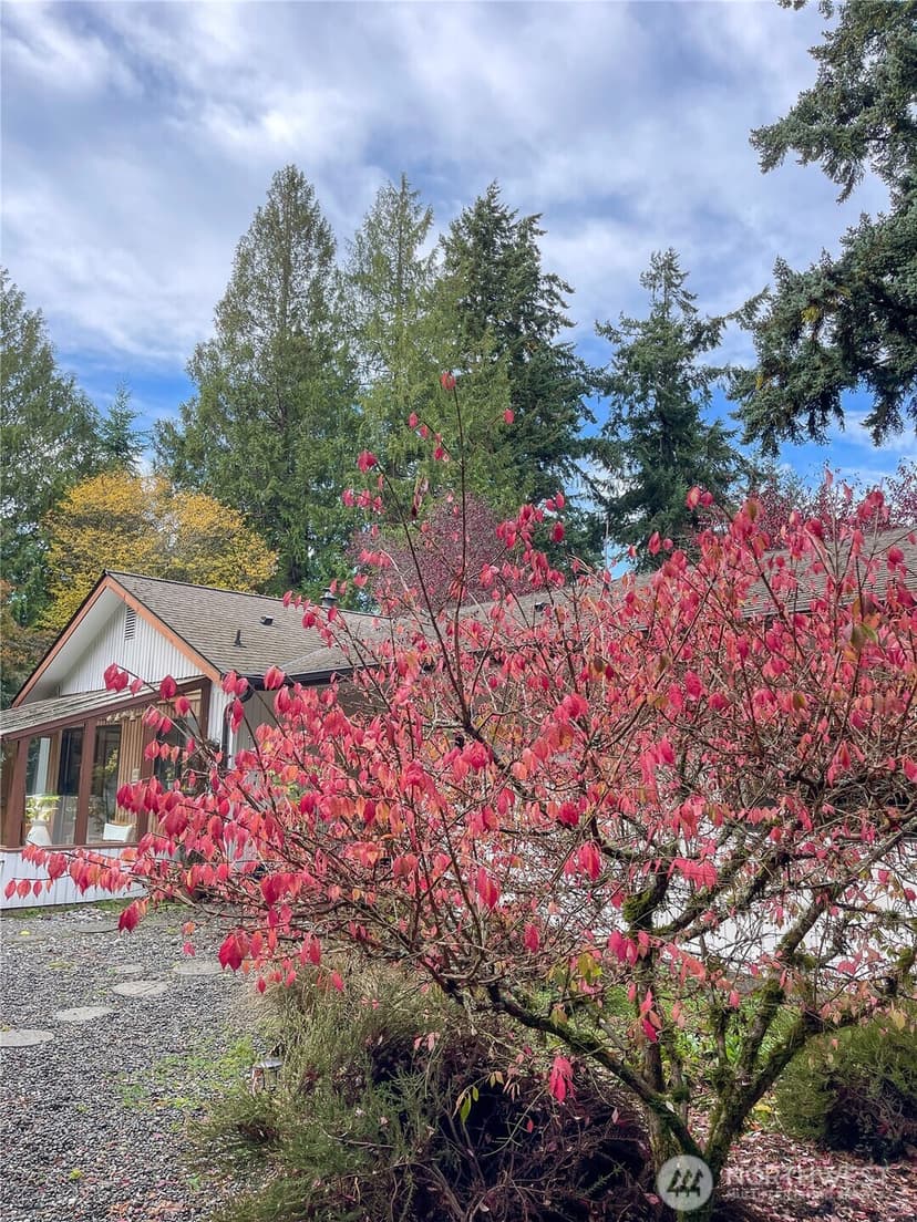 Property photo for 676 Park Avenue NE, Bainbridge Island photo 35