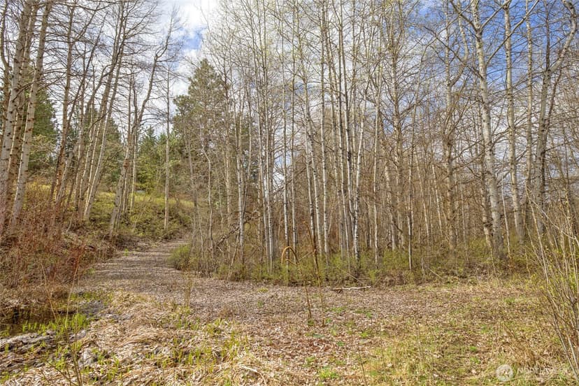 Property photo for 0 Westside Rd - Parcel 10577, Cle Elum photo 25