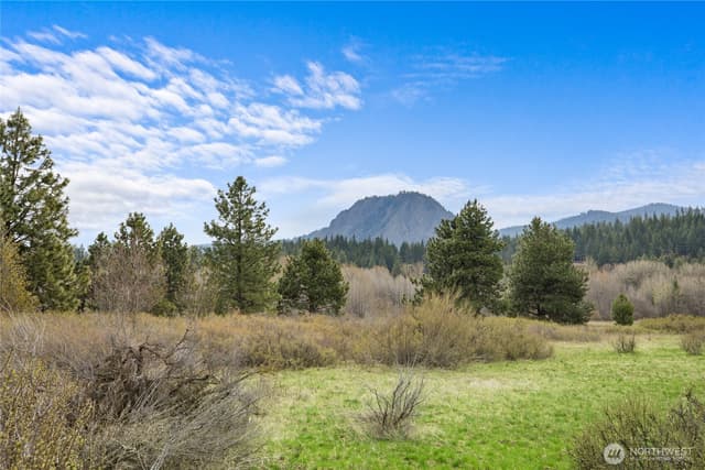 Property photo for 0 Westside Rd PCL -10579 & 10580, Cle Elum photo 4
