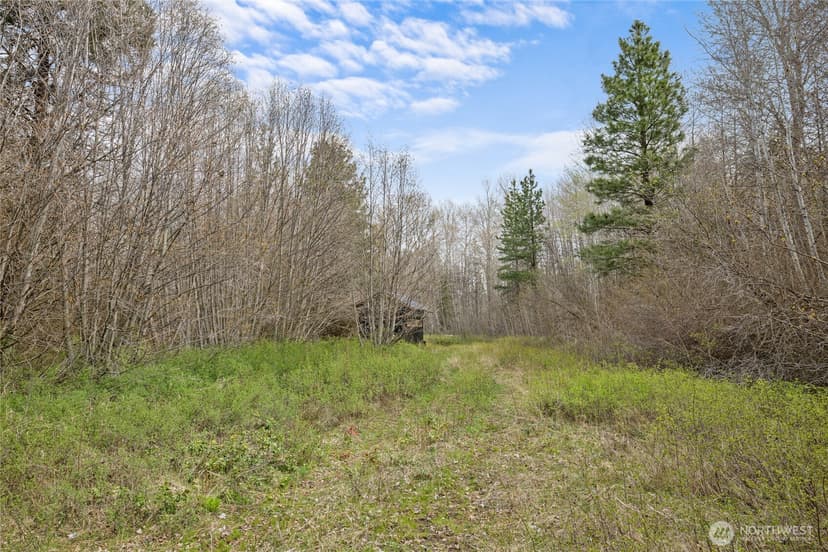 Property photo for 0 Westside Rd PCL -10579 & 10580, Cle Elum photo 23