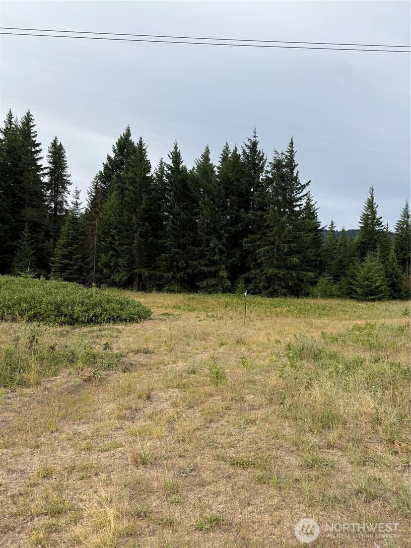 Property photo for 750 Tall Pines Drive #2 of 2, Cle Elum photo 12
