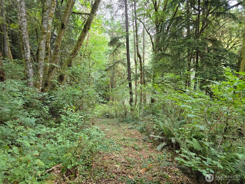 Property photo for 16010 109th Avenue SW, Vashon photo 25