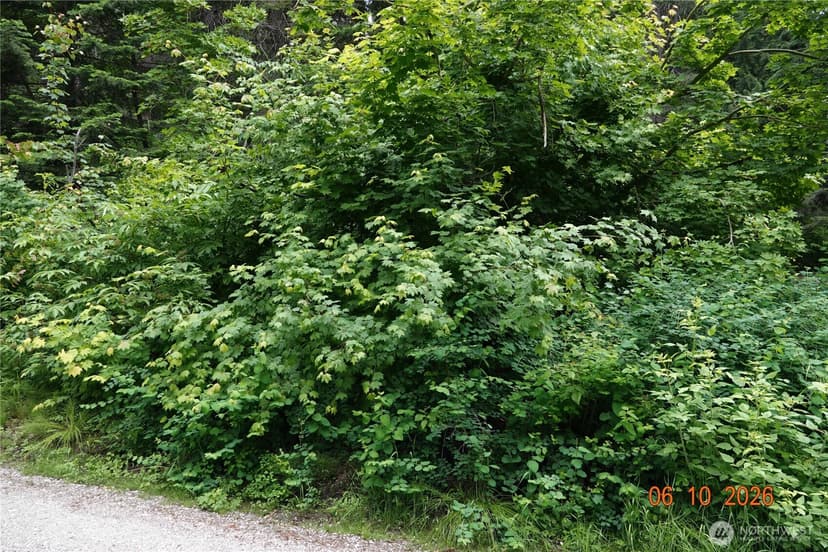 Property photo for 27849 Napeequa Drive, Leavenworth photo 16