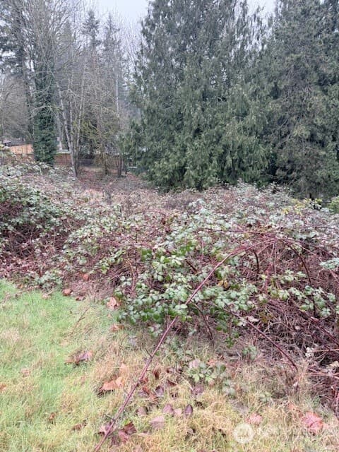Property photo for 14708 SE 145th Place, Renton photo 3