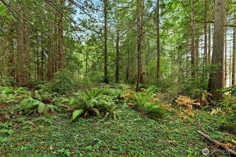 Property photo for 19301 Viking Avenue NW, Poulsbo photo 12